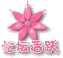 论坛活跃会员'